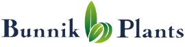 Bunnik Plants
