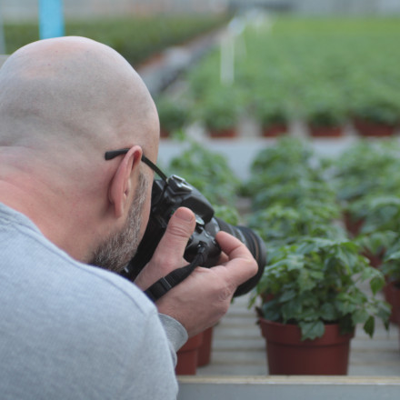 Bunnik Plants 108842
