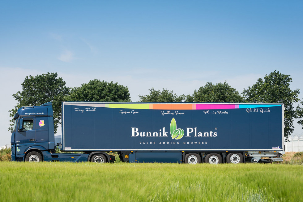 Bunnik Plants 85622